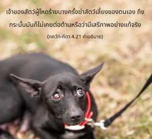 อรรถกถา ภขวัท-คีตา 4.21 ภาพ - thumbnail size