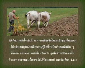 ภขวัท-คีตา 4.21.webp - thumbnail size