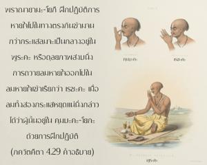 อรรถกถา ภขวัท-คีตา 4.29 ภาพ - thumbnail size