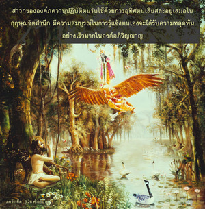อรรถกถา ภขวัท-คีตา 5.26 ภาพ - thumbnail size