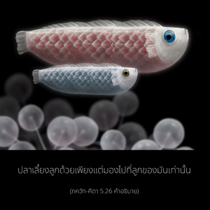 อรรถกถา ภขวัท-คีตา 5.26 ภาพ - thumbnail size