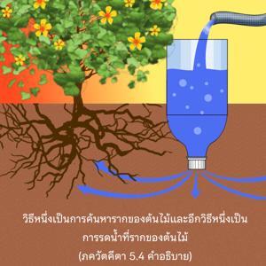 อรรถกถา ภขวัท-คีตา 5.4 ภาพ - thumbnail size