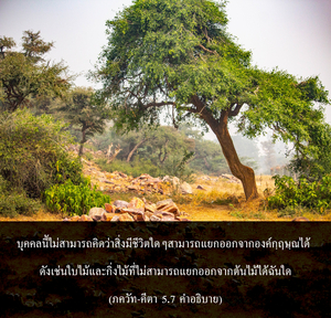 อรรถกถา ภขวัท-คีตา 5.7 ภาพ - thumbnail size