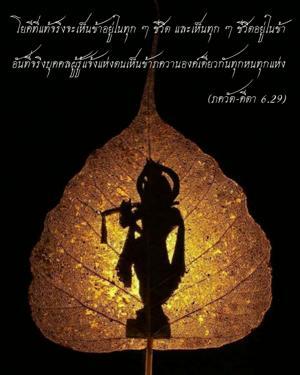 ภขวัท-คีตา 6.29.jpg - thumbnail size