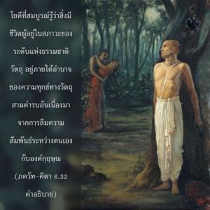 อรรถกถา ภขวัท-คีตา 6.32 ภาพ - thumbnail size