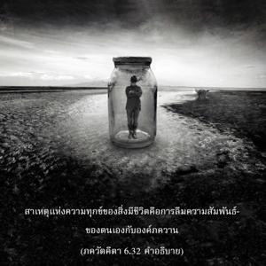 อรรถกถา ภขวัท-คีตา 6.32 ภาพ - thumbnail size