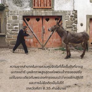 อรรถกถา ภขวัท-คีตา 6.35 ภาพ - thumbnail size