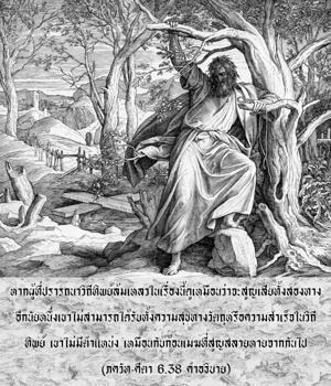 อรรถกถา ภขวัท-คีตา 6.38 ภาพ - thumbnail size