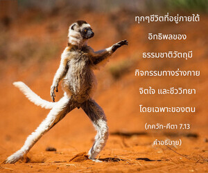 อรรถกถา ภขวัท-คีตา 7.13 ภาพ - thumbnail size