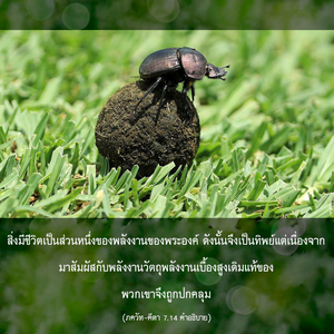 อรรถกถา ภขวัท-คีตา 7.14 ภาพ - thumbnail size