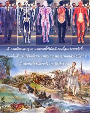 ภขวัท-คีตา 7.5.jpg - thumbnail size
