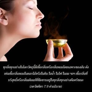 อรรถกถา ภขวัท-คีตา 7.9 ภาพ - thumbnail size