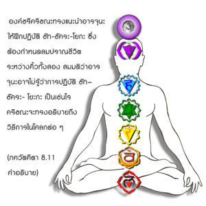 อรรถกถา ภขวัท-คีตา 8.11 ภาพ - thumbnail size