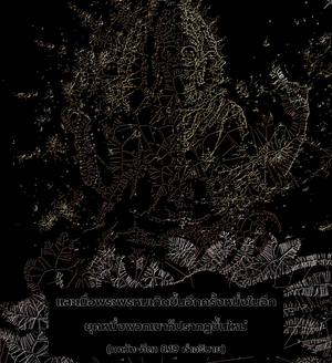 อรรถกถา ภขวัท-คีตา 8.19 ภาพ - thumbnail size