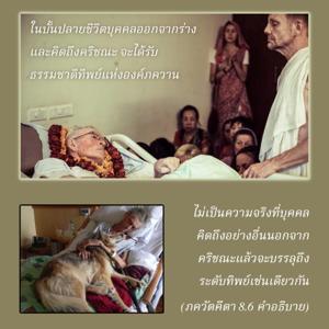 อรรถกถา ภขวัท-คีตา 8.6 ภาพ - thumbnail size